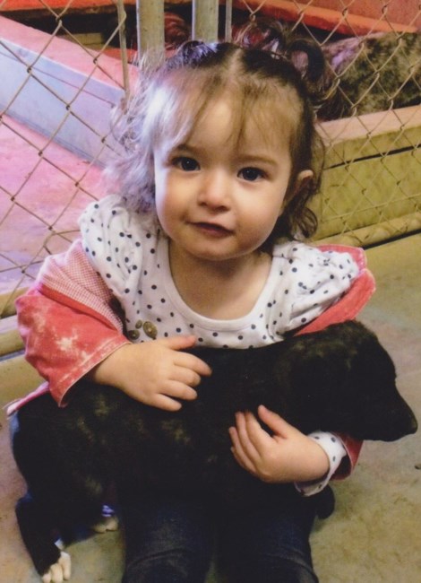 Obituary of Maddie Willis