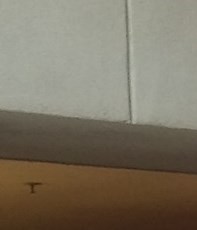 Luis-Alejandro Rocha Obituary - Las Vegas, NV