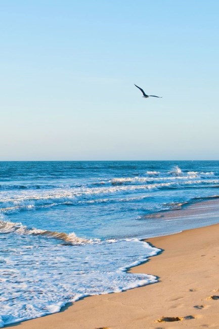 Obituary of Phuong Thanh Dang