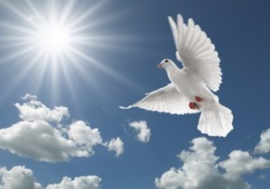Obituary of Eduardo Infante