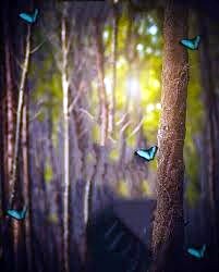 Obituary of Ada Lenora Bella