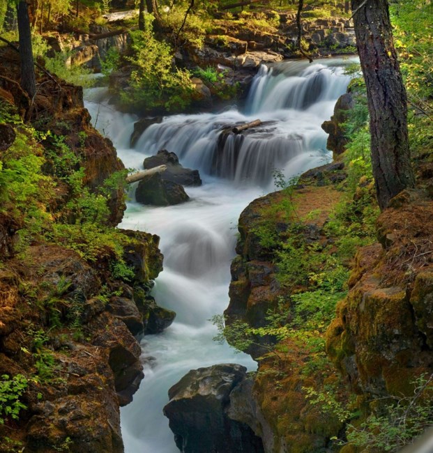 Obituary of Richard Earl Hamm