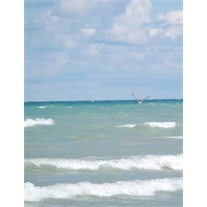 Obituary of Mary Ann Rozema