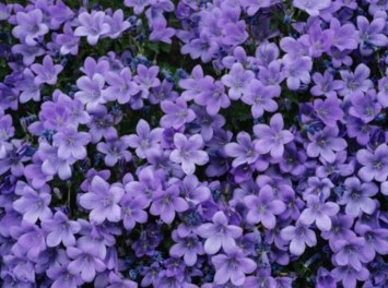 Obituary of Nancy M. Stock