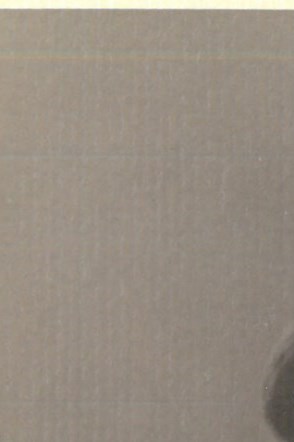 John Ricke Obituary - Phoenix, AZ