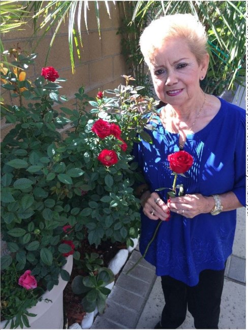 Obituary of Ms. Dora Camacho