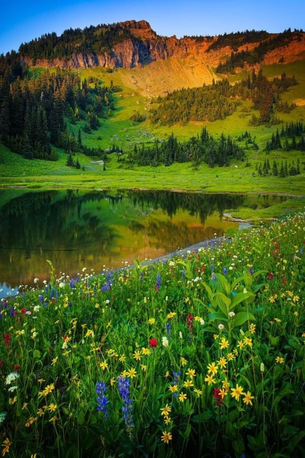 Obituary of William Keith Clark