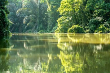 Obituary of Theodore Edward Anderson