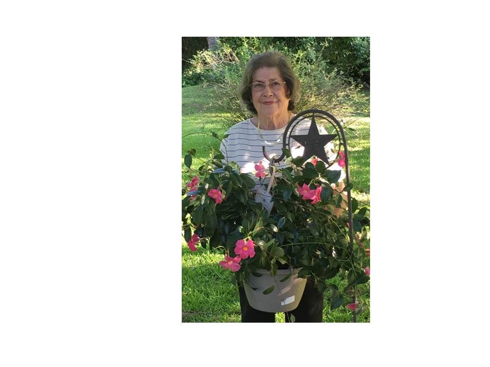 Obituary of Ms Patsy Hooker