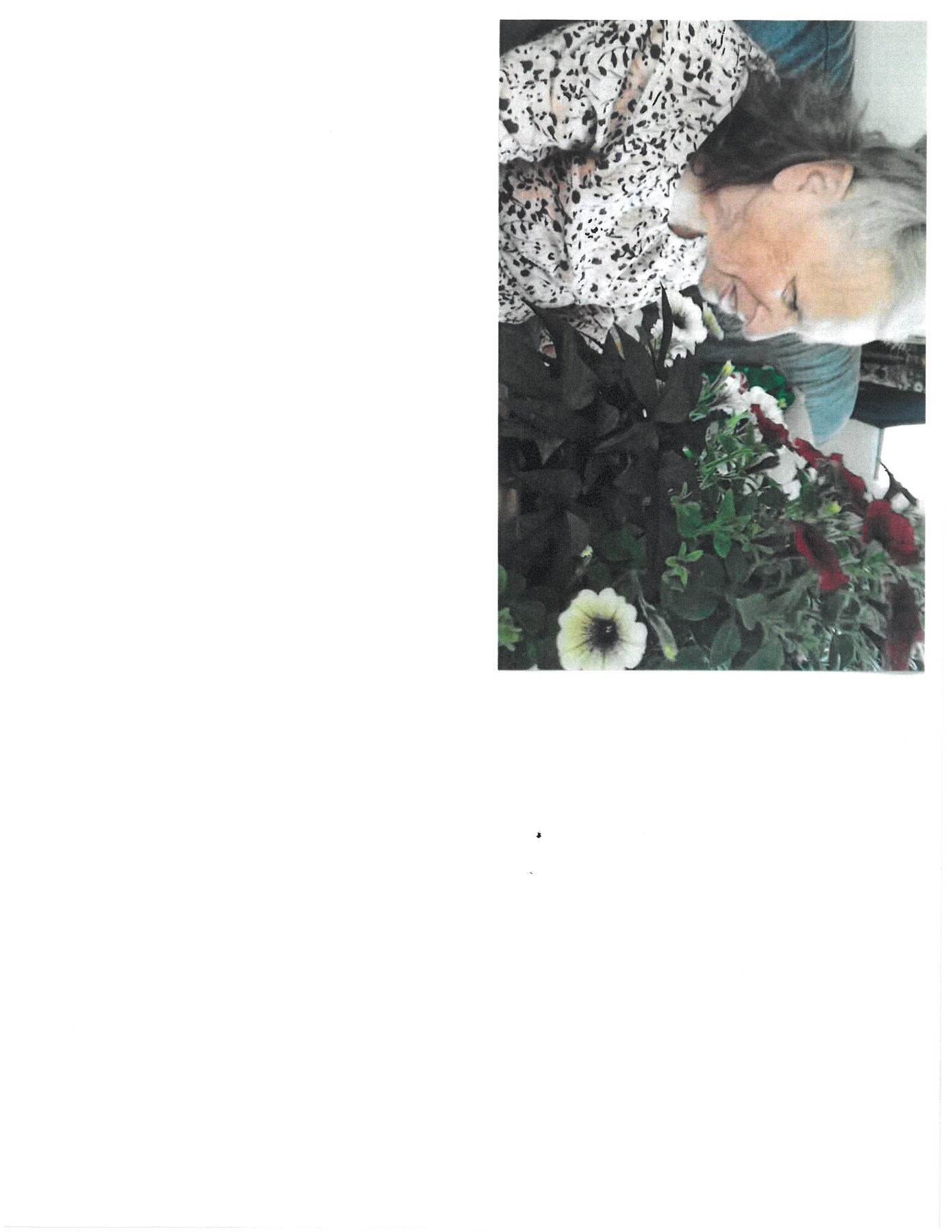 Avis de décès de Ruth E. Chapman