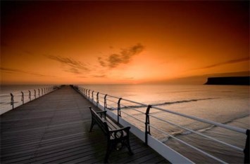 Obituary of Thomas David Horan