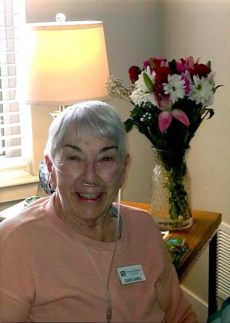 Obituary of Carol Ann Hamill