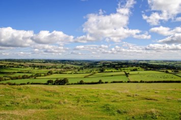 Obituario de Petrit Kadiu