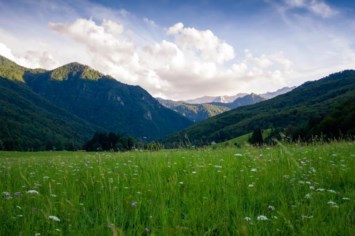 Obituary of Robert Zavala Jr.