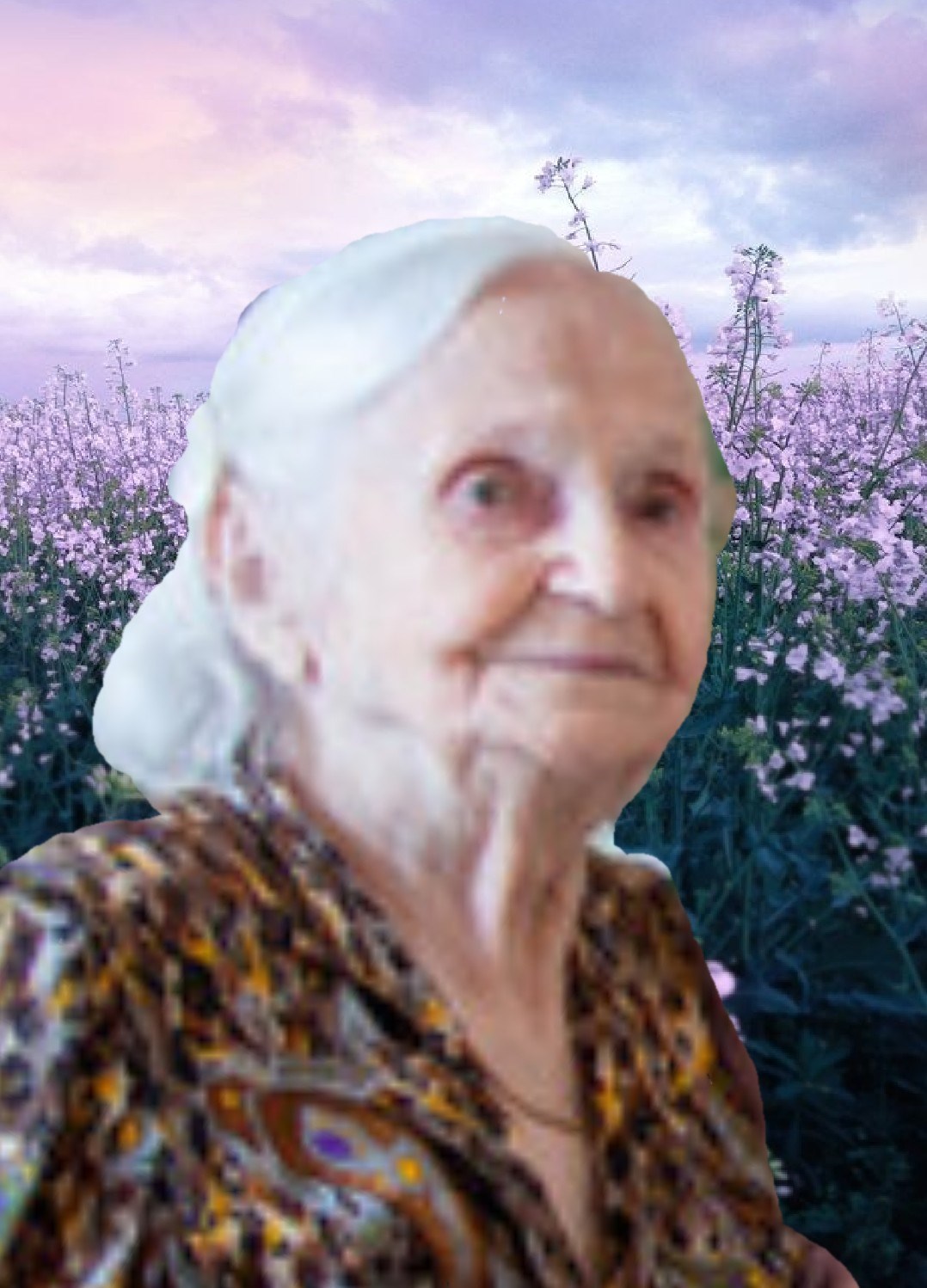 Vilma Jobb Obituary Grand Blanc MI