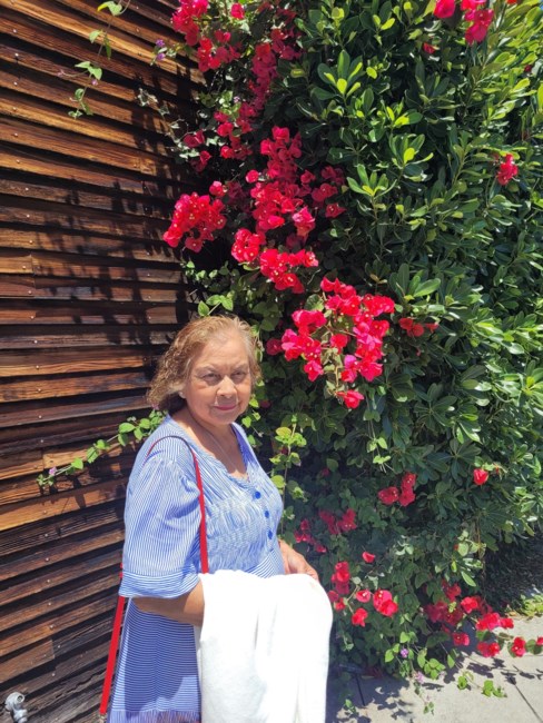 Obituario de Elizabeth Ramirez Vasquez