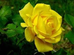 Obituary of Elizabeth Thatcher Walters