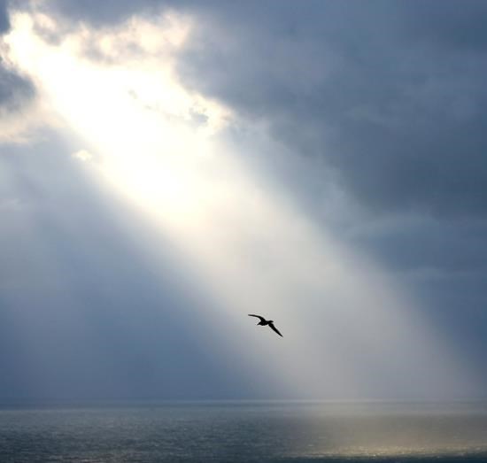 Obituary of Louis A. Shirley