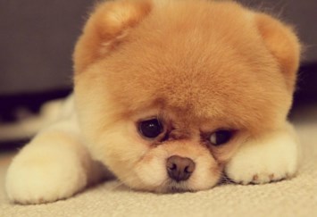 Obituario de Teresa M Ward