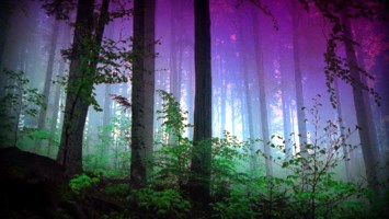 Obituary of Donald William Fecteau