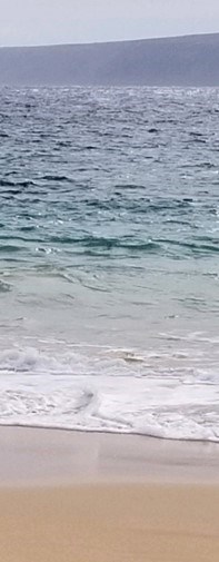 Obituary of Ian Joseph Orokos