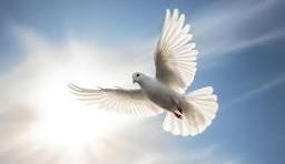 Obituary of Harry Irvin Troop Jr.