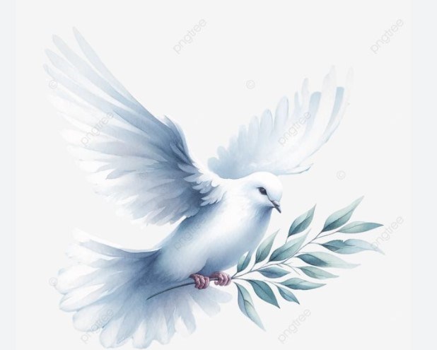 Obituary of Mary K Ingenito