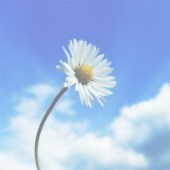 Obituary of Carol L. Wood