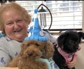 Obituary of Helena Ford