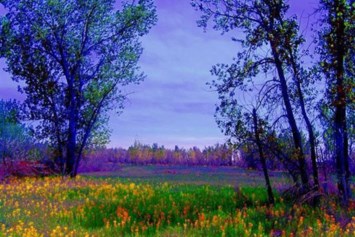 Obituary of Ruth Elain Britt