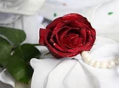 Obituary of Pauline Annie Hewitt