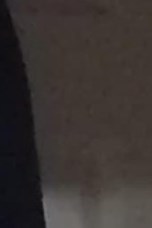 Judy Ann Taylor Obituary Tampa, FL