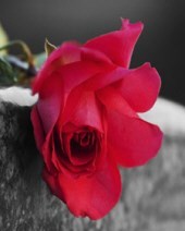 Obituary of Melissa Dawn Martinez