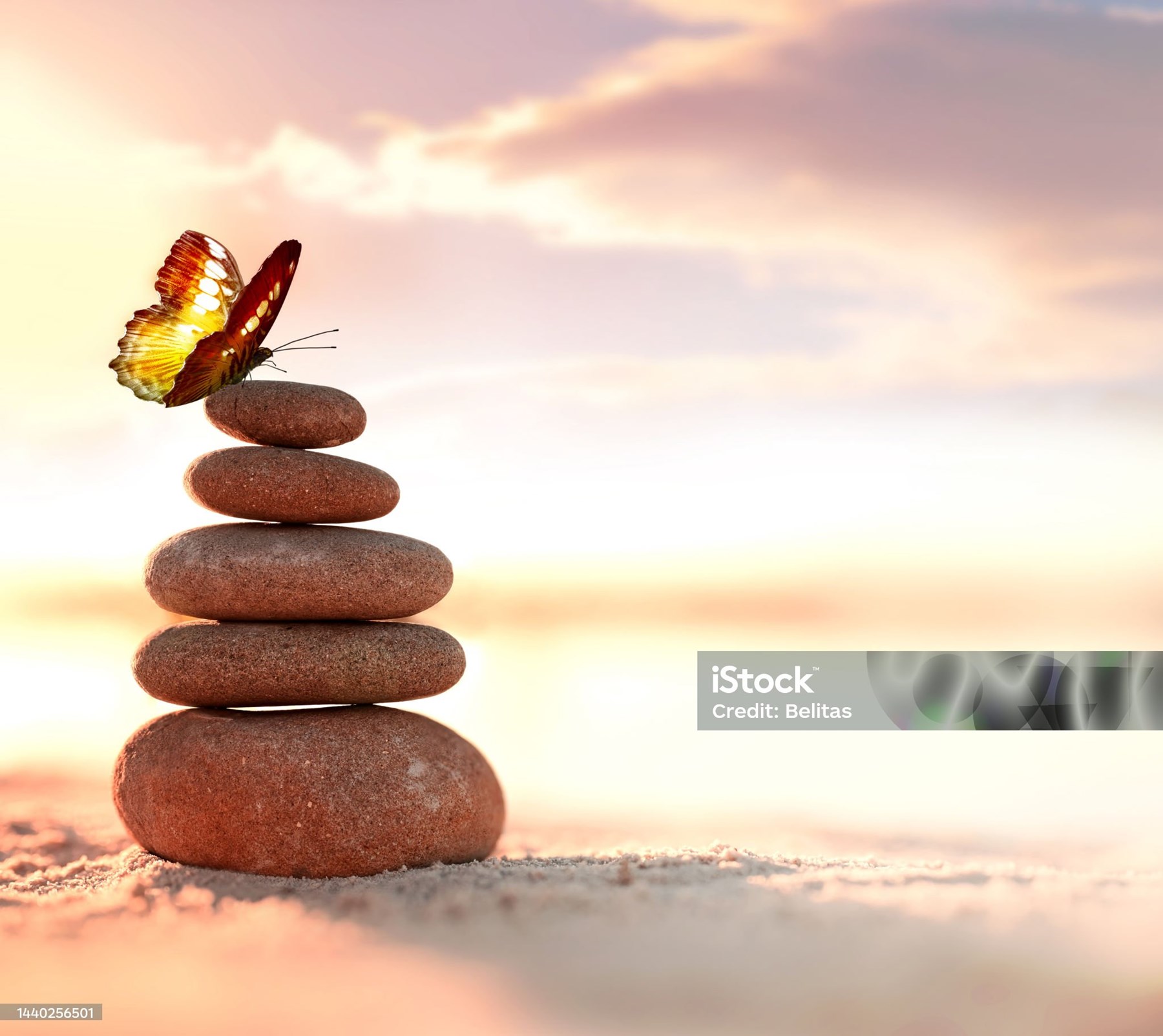 Obituary of Sandra Henley Cowger