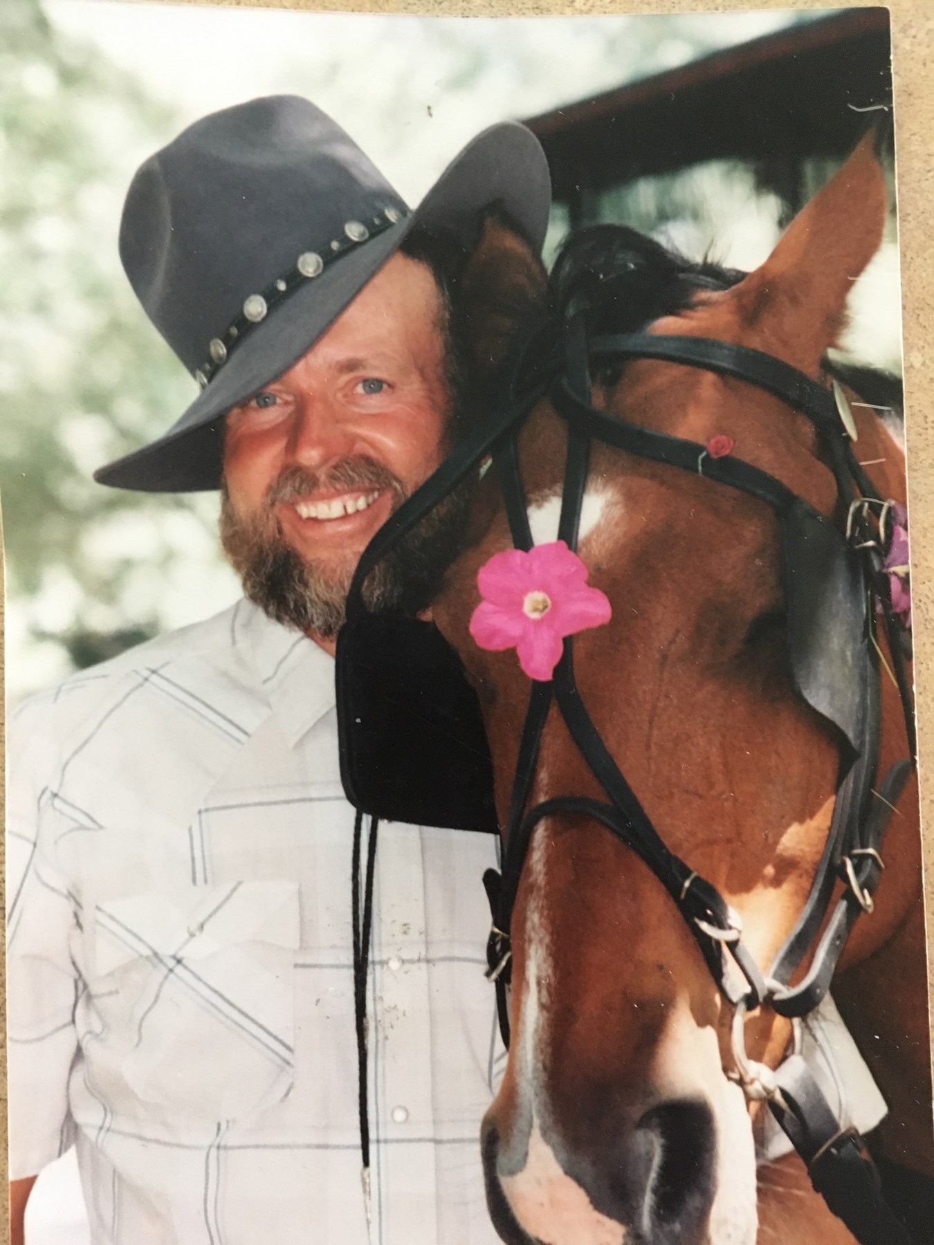 Obituary of David Edward Woolley