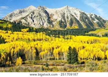 Obituario de Barbara Anne Stoffey