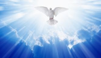 Obituary of Wayne George Young