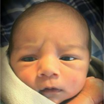 Obituary of Ayden Noah Griffin