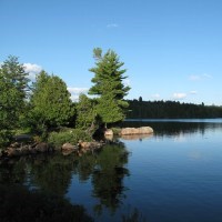 Obituary of Leah Carolyn Sheppard-Slute