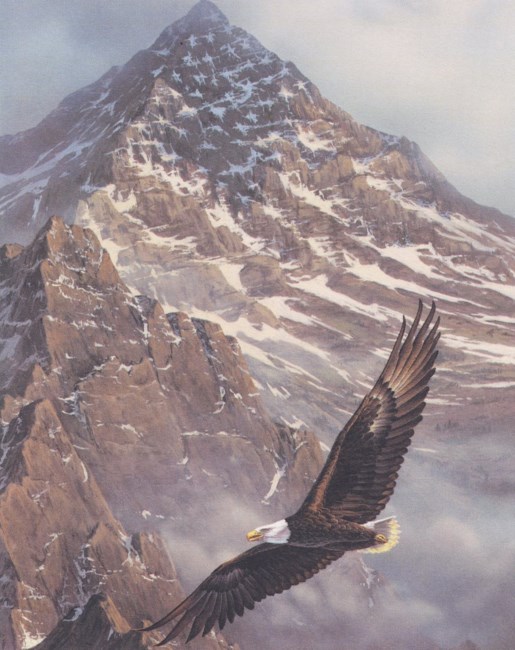 Obituary of Jennings Allen Marshall, Jr.