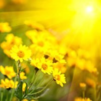 Obituary of Margie Chance
