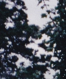 Charles Peterson Obituary Wilmington, NC