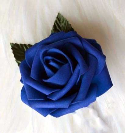 Obituary of William C. Van Gilder