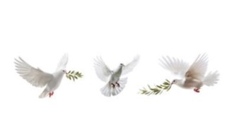 Obituary of Daniel Charles Bennett