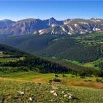 Obituary of Raymond Johnston