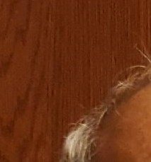 Mr. Emilio Pinales VALVERDE Obituary Omaha, NE