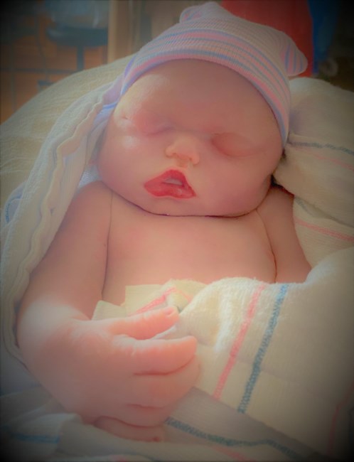 Obituary of Austin Ryan Georgoff