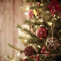 Obituary of Phyllis Farmer Durmire