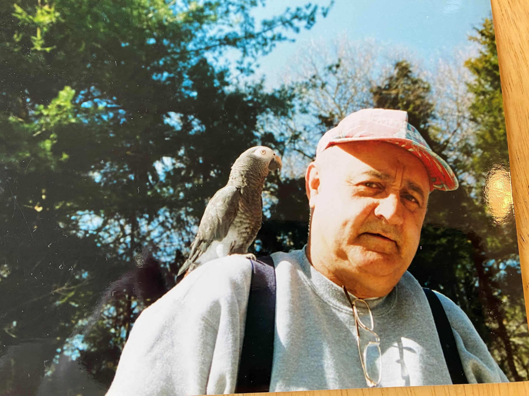 Obituary of Roger Morgan