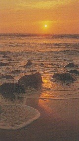 Obituary of Walter F Denton